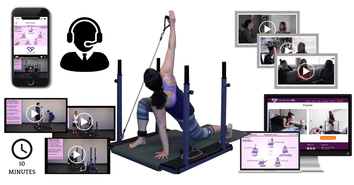 EvolutionVN Evolution Home Gym and Online Training System